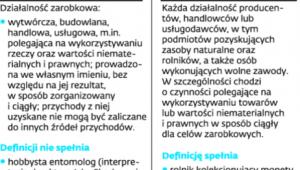 Działalność gospodarcza w PIT i VAT