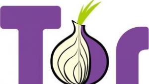 Logo projektu Tor, fot. Tor Project/Wikimedia Commons, lic. cc-by 3.0 USA