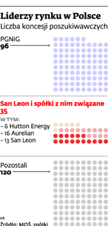 Liderzy na rynku w Polsce