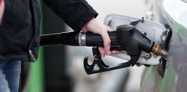 W monitoringu ma pomóc elektroniczny rejestr