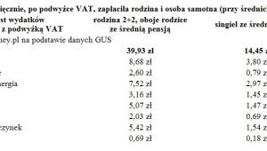 Ile więcej miesięcznie, po podwyżce VAT, zapłaciła rodzina i osoba samotna (przy średnich zarobkach)