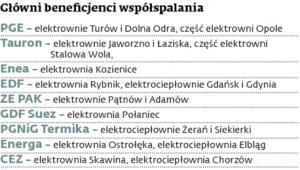 Główni beneficjenci współspalania