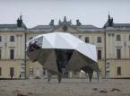 "Żubroffka" w Białymstoku: Nowa edycja festiwalu filmowego już w grudniu