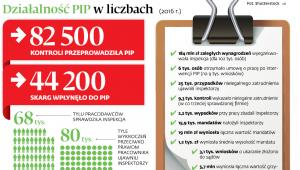 Działalność PIP w liczbach