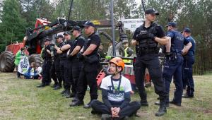 Puszcza Białowieska. Protest ekologów