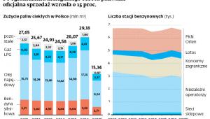Po ograniczeniu nielegalnego obrotu paliwami oficjalna sprzedaż wzrosła o 15 proc.