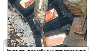 Przekroczenie norm wybranych zanieczyszczeń w skali roku