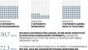 Polscy internauci