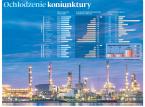 Ochłodzenie koniunktury. Lipiec przyniósł znaczący spadek aktywności krajowego przemysłu
